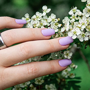 SOGO NAIL&SPA LLC gallery